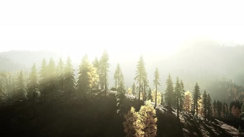 A Picturesque Mountain Landscape with Sunlight Filtering Through the Trees