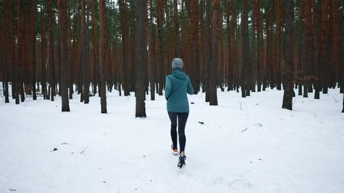 Running in Forest on Snow Track