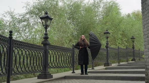 Quiet Rainy Walk Serene Walk Beside Greenery and Vintage Street Lamps at Dusk Tranquil Rainy Day
