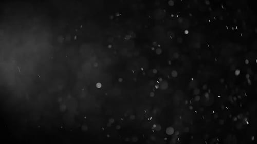 White Particles With Light