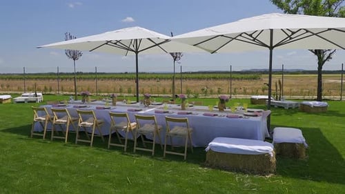 Outdoor Celebration at Vineyard with Beautiful Table Setting