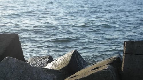 Waves Crashing on the Rocky Shoreline During the Day