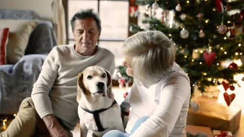 Senior couple and dog celebrate Christmas together