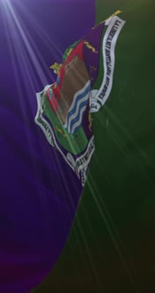 Waving Flag with Coat of Arms and Light Rays