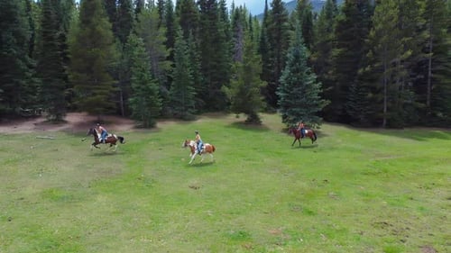 A trio of riders on horseback gallop through a Colorado field