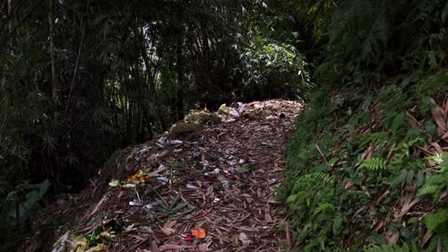 Garbage Pile On The Forest Trail In Bali, Indonesia. Ecological Issue. shot