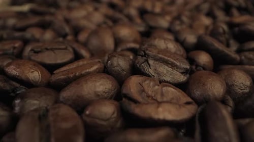 Close Up View of Roasted Coffee Beans