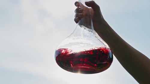 Femme faisant tourbillonner le vin rouge dans une carafe en cristal sur fond de ciel ensoleillé