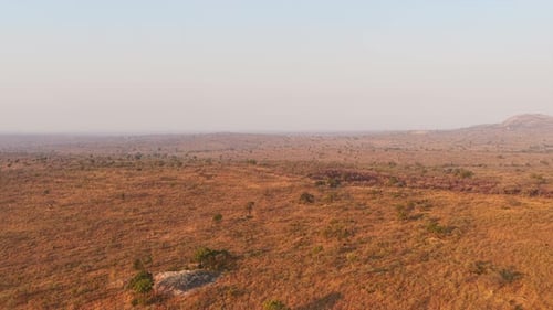 Goldbraune Graslandschaften fließen endlos über das Gelände, übersät mit kleinen Sträuchern und fernen
