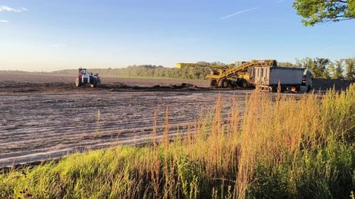 Sugar beets being loaded onto a truck in a field in the Czech Republic during sunset. Warm golden