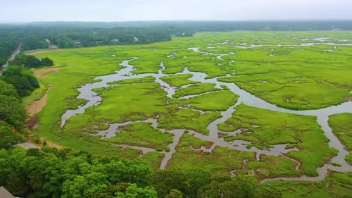 Drone Panorama of Cape Cod Wetlands with Winding Waterways