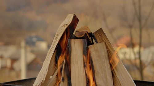 Crackling Wood Fire Burning in Metal Pit