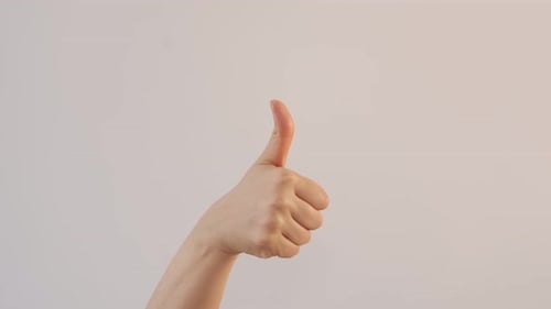 Hand Gestures Various Signals on Light Background