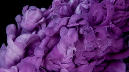 Swirling Purple and White Ink on Black Background