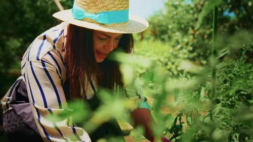 Woman in Straw Hat Tending to Vibrant Garden Plants with Lush Greenery Surrounding Her