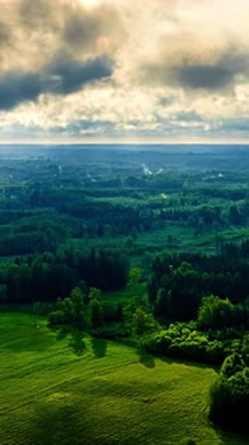 Paysage de forêt luxuriante et de campagne sous un ciel ouvert
