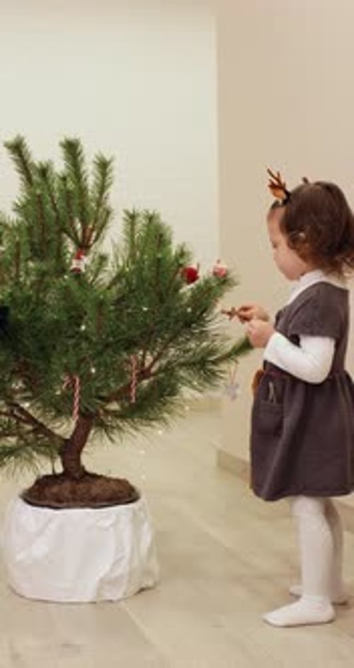 Little Girl Decorating Christmas Tree in Home