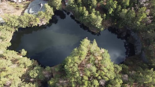 Lake surrounded by trees. Beautiful landscape in aerial drone shot.