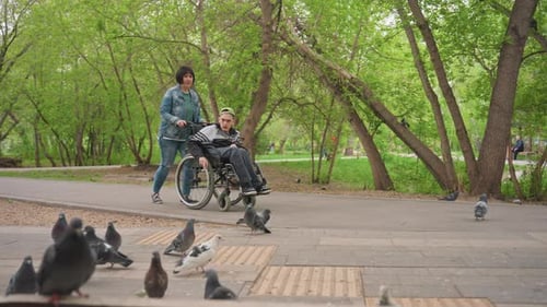 Inclusive Park Feeding Accessibility And Kindness In Outdoor Setting Individuals With Mobility Aids