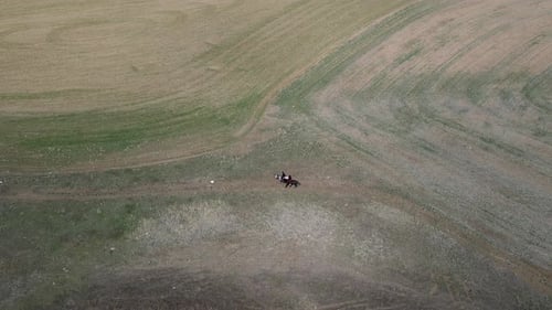 People Riding Horses On The Plain