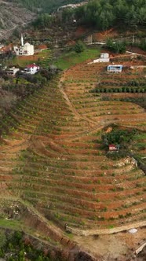 Vidéo verticale : agriculture de montagne, réservoir d'oasis, terres agricoles luxuriantes et eaux captivantes