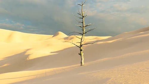 Barren Desert Withered And Dead Trees Due To Lack Of Water And Drought