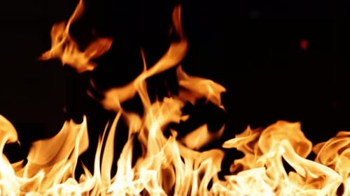 Feuer brennt Eine helle brennende Flamme auf einem schwarzen Hintergrund Feuer in Zeitlupe Wall of Real Fire