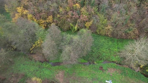 Aerial Small Creek and Forest