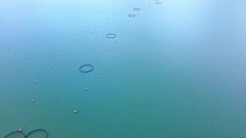 Fishing Cages for Breeding Fish in Lake in Mountain Valley of Rhodope Mountains Under Cloudy Sky