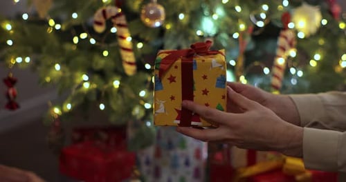 Gift Exchange Between Two People on Christmas