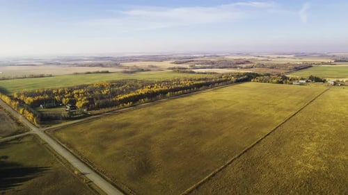 Vast Wheat Field In Red Deer County, Alberta, Canada - Aerial Drone Shot