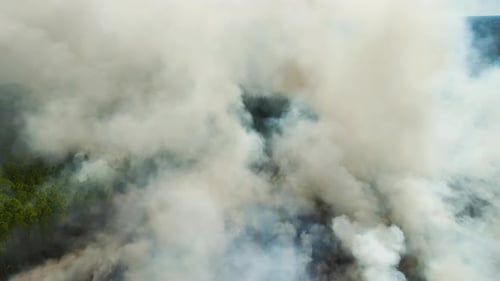 Aerial View of White Smoke From Forest Fire Rising Up Polluting Atmosphere Natural Disaster Concept