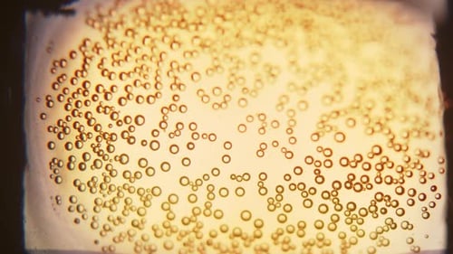 Macro Bubbles in Golden Fizzy Beverage
