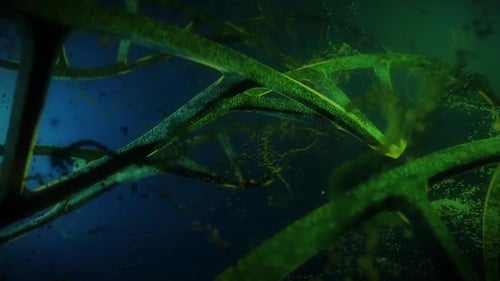 Animated Abstract DNA Molecular Structure Rotation