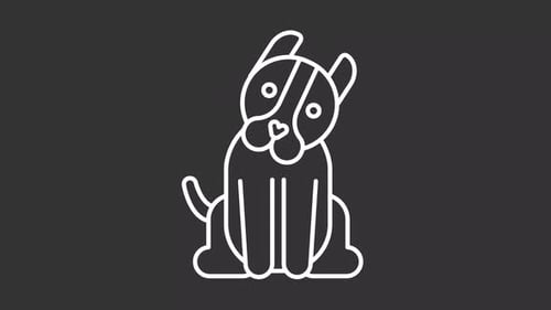 Minimalist Line Art Dog Head Tilt Animation