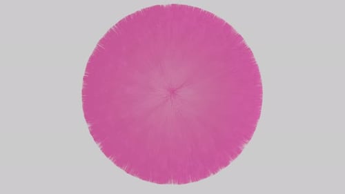 Abstrakte 3D-Videowiedergabe einer rotierenden, flauschigen rosa Kugel auf weißem Hintergrund