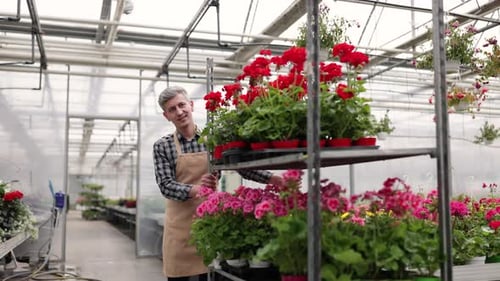 Man Pushing Flowers Cart in Greenhouse