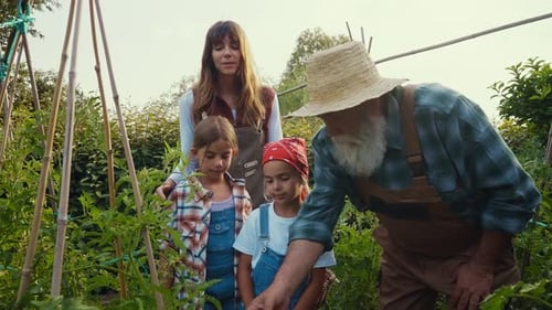 Grandfather Teaching Family about Plants on Hobby Farm