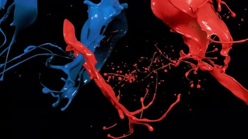 Red and Blue Paint Splash Collision Reveal