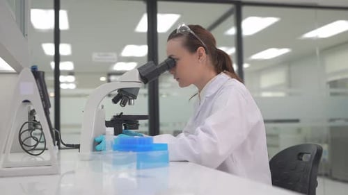 Woman Scientist Using Microscope in Laboratory Setting