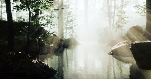 Morning Mist Envelops a Tranquil Forest Stream Bathed in Soft Sunlight