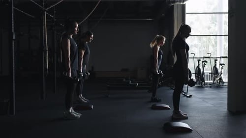 Group Fitness Class For Women Athletic Ladies Doing Exercise With Dumbbells Training In Gym