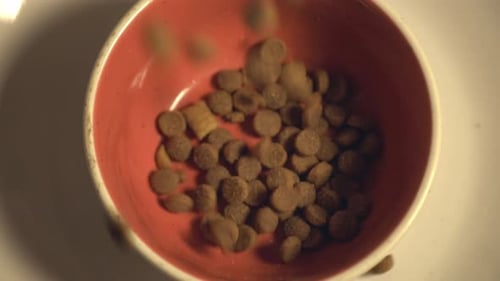 Pouring Dry Cat Food Into The Cat Bowl - overhead view