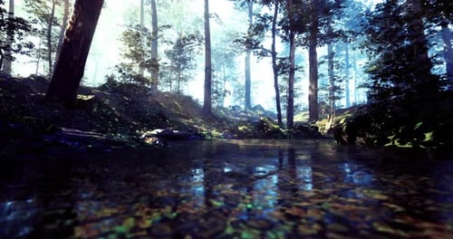 Serene Forest Landscape with Reflective Water in the Early Morning Light