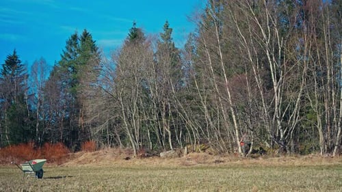 Man Cutting Tree Wood In The Forest - Wide Shot