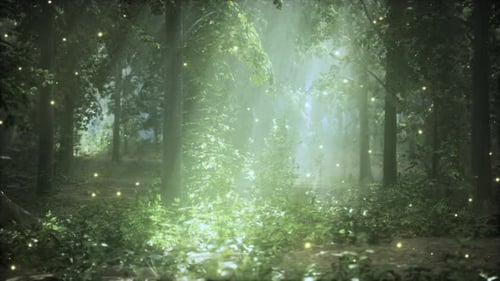 A Forest Filled with Lots of Green Trees