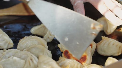 Cooking Delicious Dumplings on Griddle in Close Up