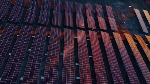 Solar panels cover a large area at sunset in an energy field.