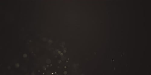 Organic Dust Particles
