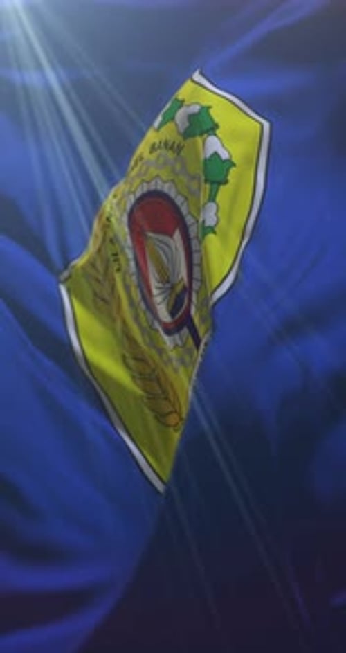 Waving Emblem Flag Animation with Light Rays